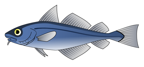 Codfish Clipart