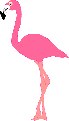 Pink Flamingo Cartoon Kid Png Image Clipart