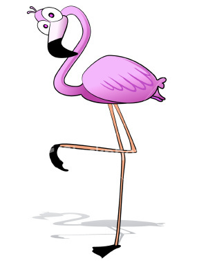 Flamingo Cartoon Hd Photo Clipart