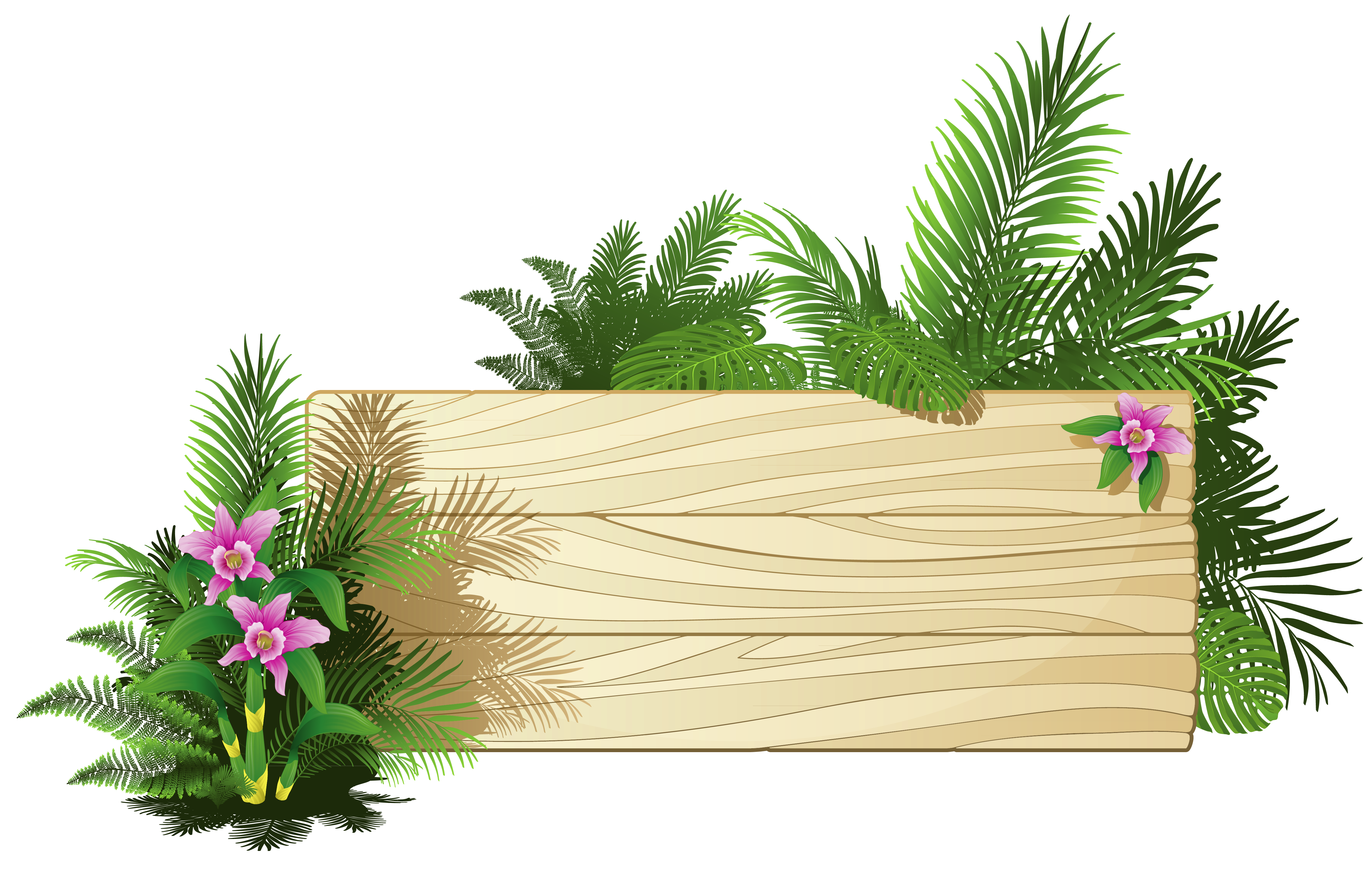Exotic Board PNG Download Free Clipart
