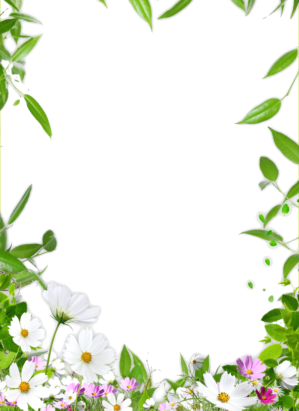 Picture Ceiling Flower Frame Border Drawing Clipart
