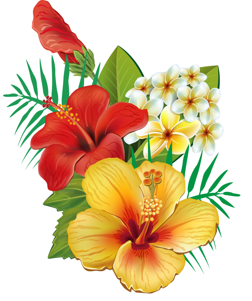Flower Free HD Image Clipart