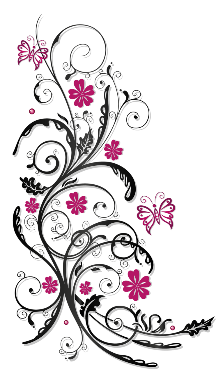 Pink Flower Photography Ornaments Tendril Stock Clipart