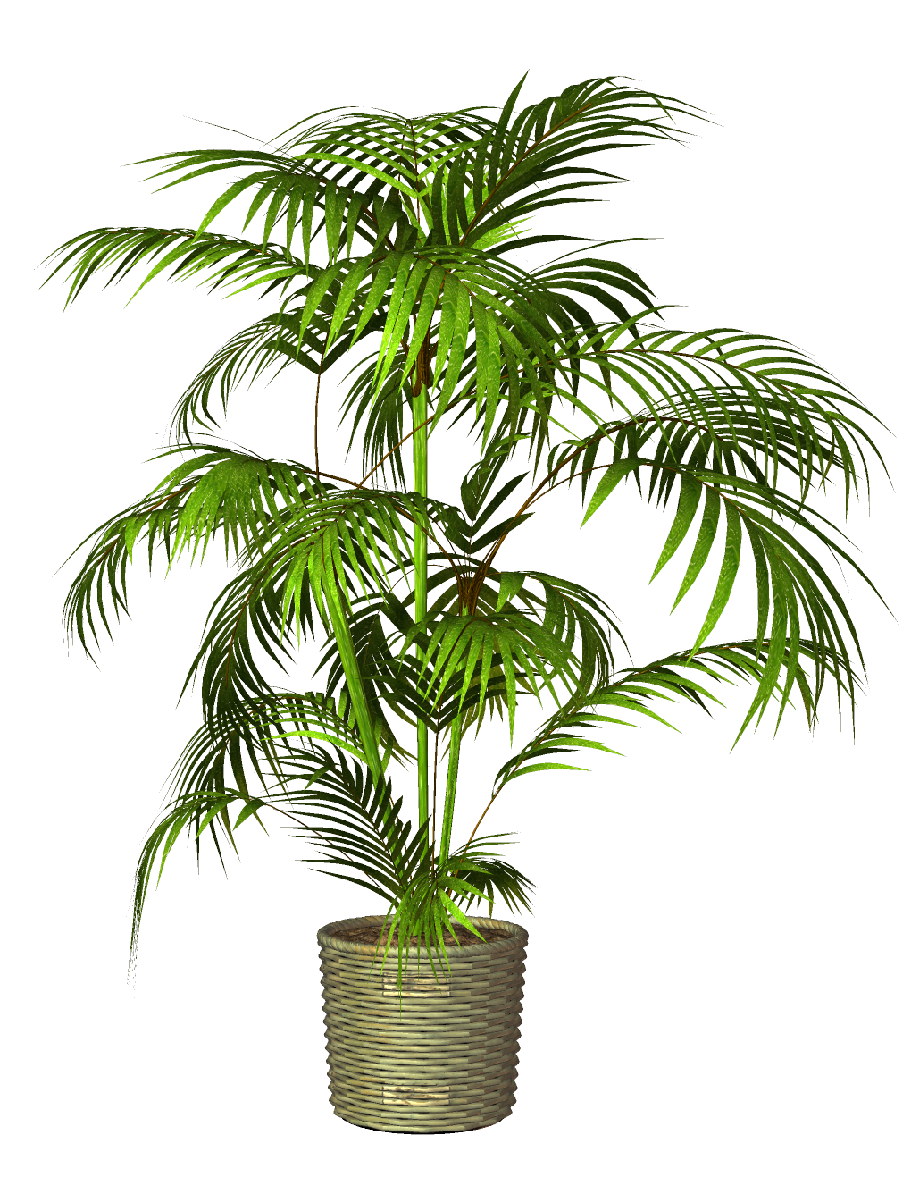 Houseplant Potted Flowerpot Free Photo PNG Clipart
