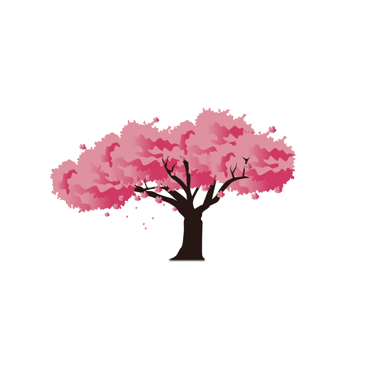 Pink Blossom Cherry National Festival Japan Icon Clipart