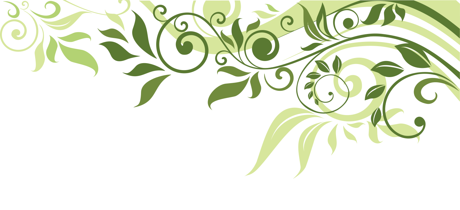 Flower Leaf Spring Illustration Banner Border Clipart