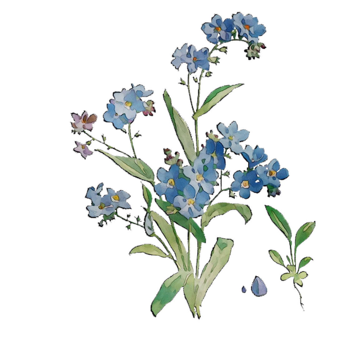 Bluebonnet Grasses Flowers Scorpion Cut Free HD Image Clipart
