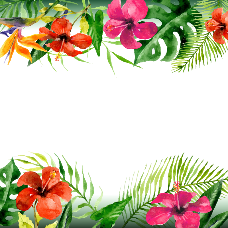 Download Summer Flower Leaf Arecaceae Vector Flowers Clipart PNG Free