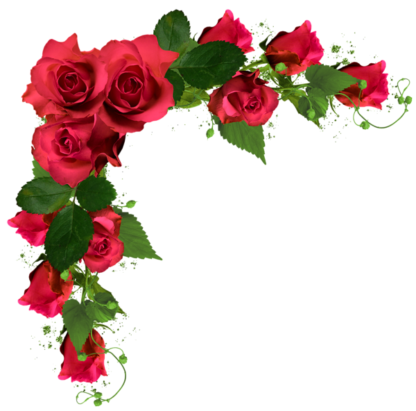 Bouquet Rose Flowers Flower Wedding HD Image Free PNG Clipart