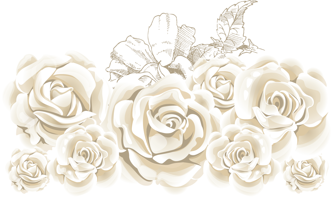 Flower Rose Illustration Roses White Stock Clipart