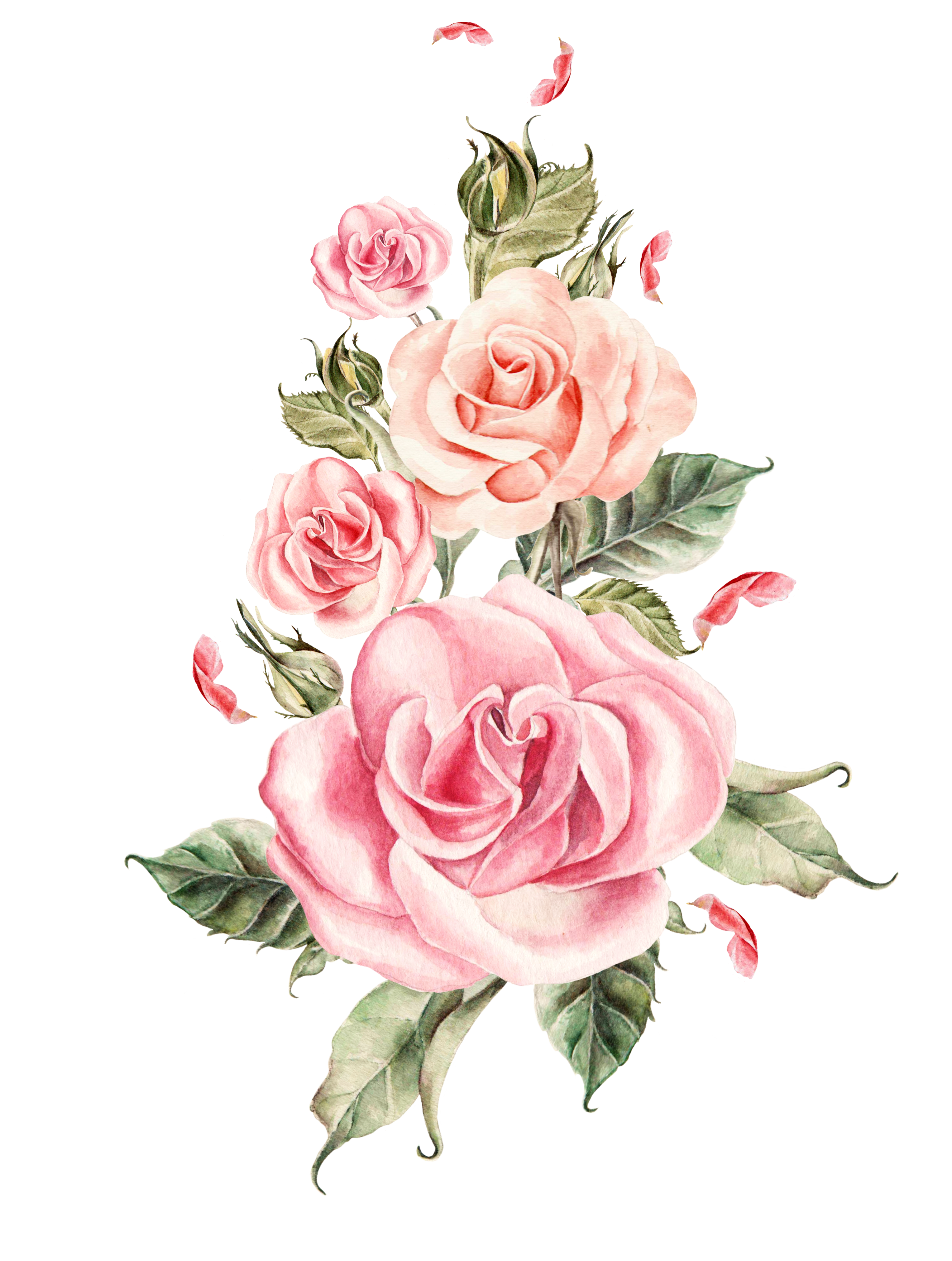 Pink Flower Bouquet Rose Roses Wedding Hand-Painted Clipart