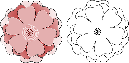 Two Flowers Clipart