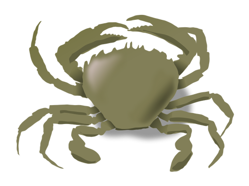 Of Crab Clipart