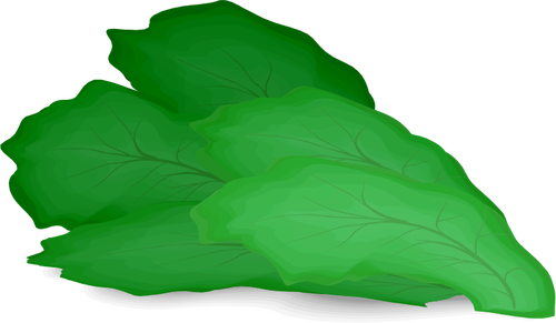 Green Salad Leaf Clipart