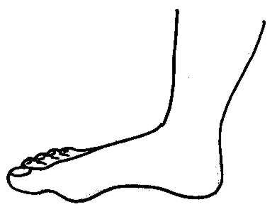 Foot Images Illustrations Photos Png Images Clipart
