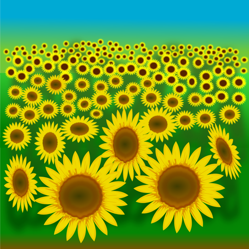 Sunflower Field Clipart