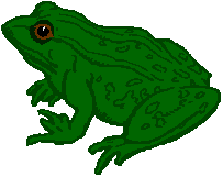 Frog Free Download Png Clipart