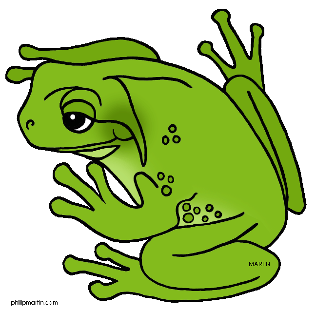 Frog Hd Photo Clipart