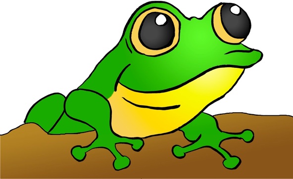 Frog Cute Png Image Clipart