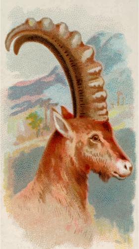 Ibex Image Clipart