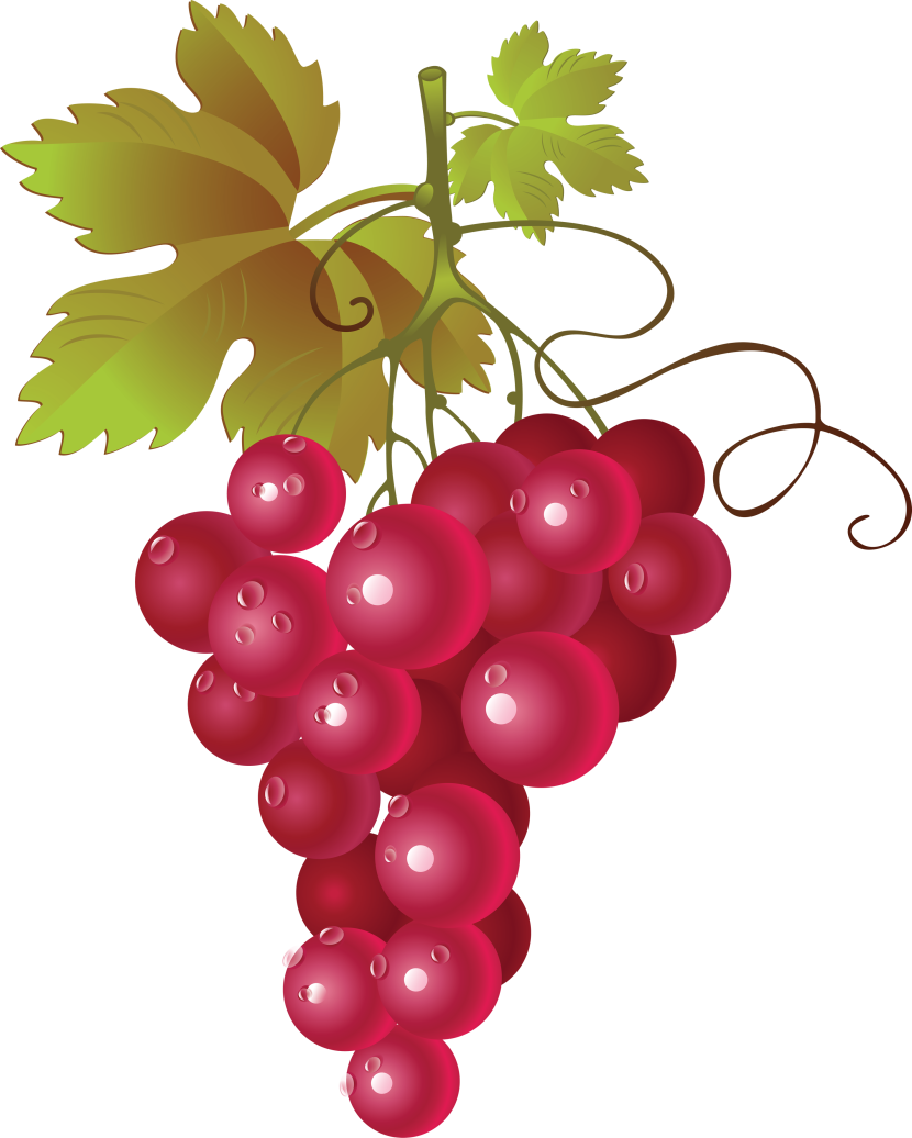 Grapes Image Png Clipart