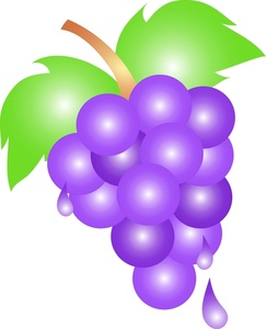 Purple Grapes Images Clipart Clipart