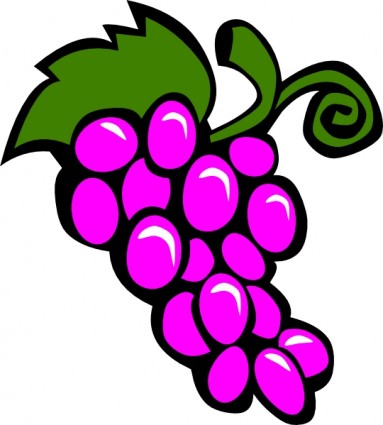 Grapes Vector Grape Vine Sketch Vector In Clipart