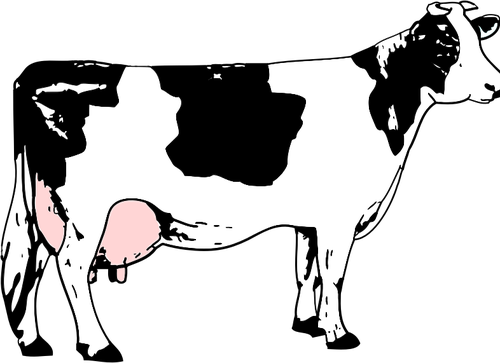 Of Cow Full Of Milk Clipart