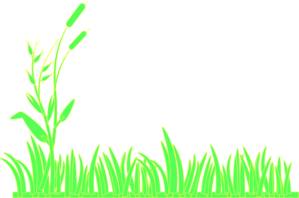 Grass And Flowers Images Png Image Clipart