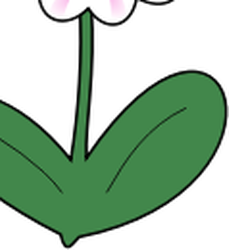 Of Daisy With Long Green Leaves Clipart