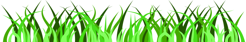 Free Grass Flowers Dear Theophilus Png Image Clipart