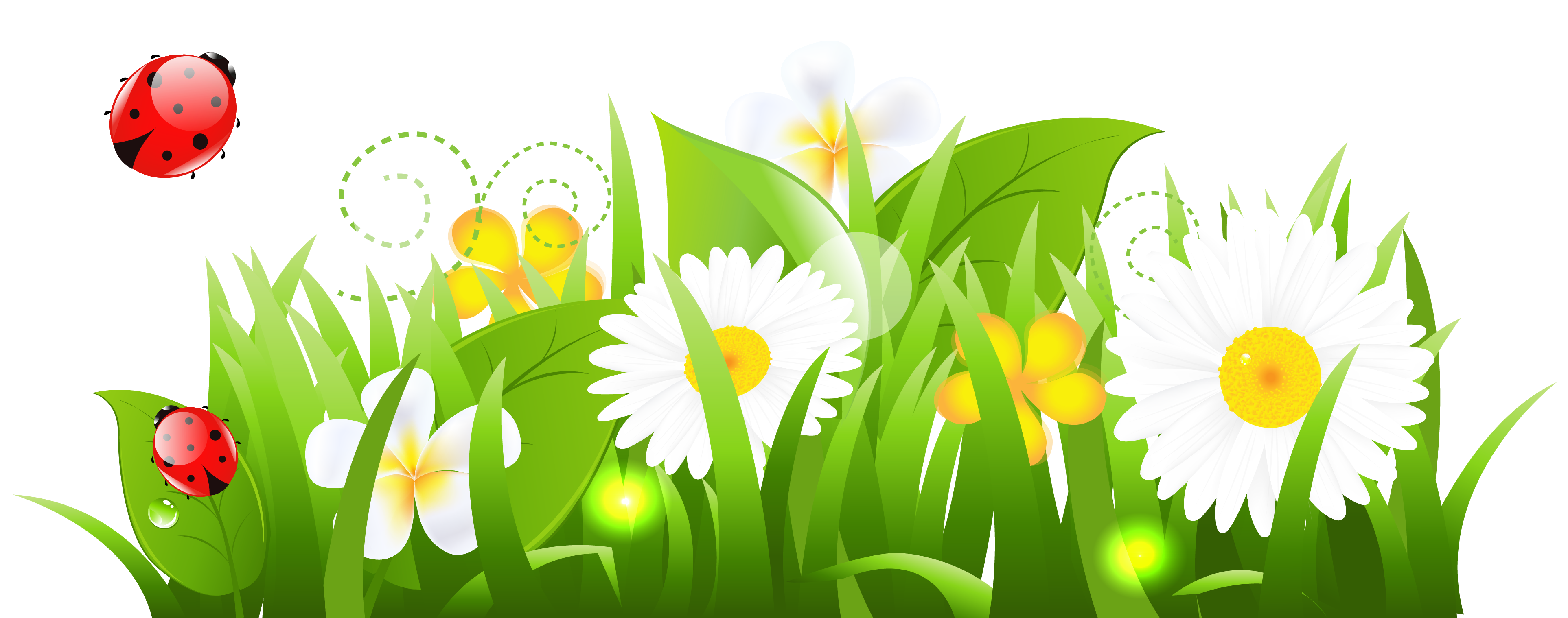 Grass And Flowers Hd Photo Clipart