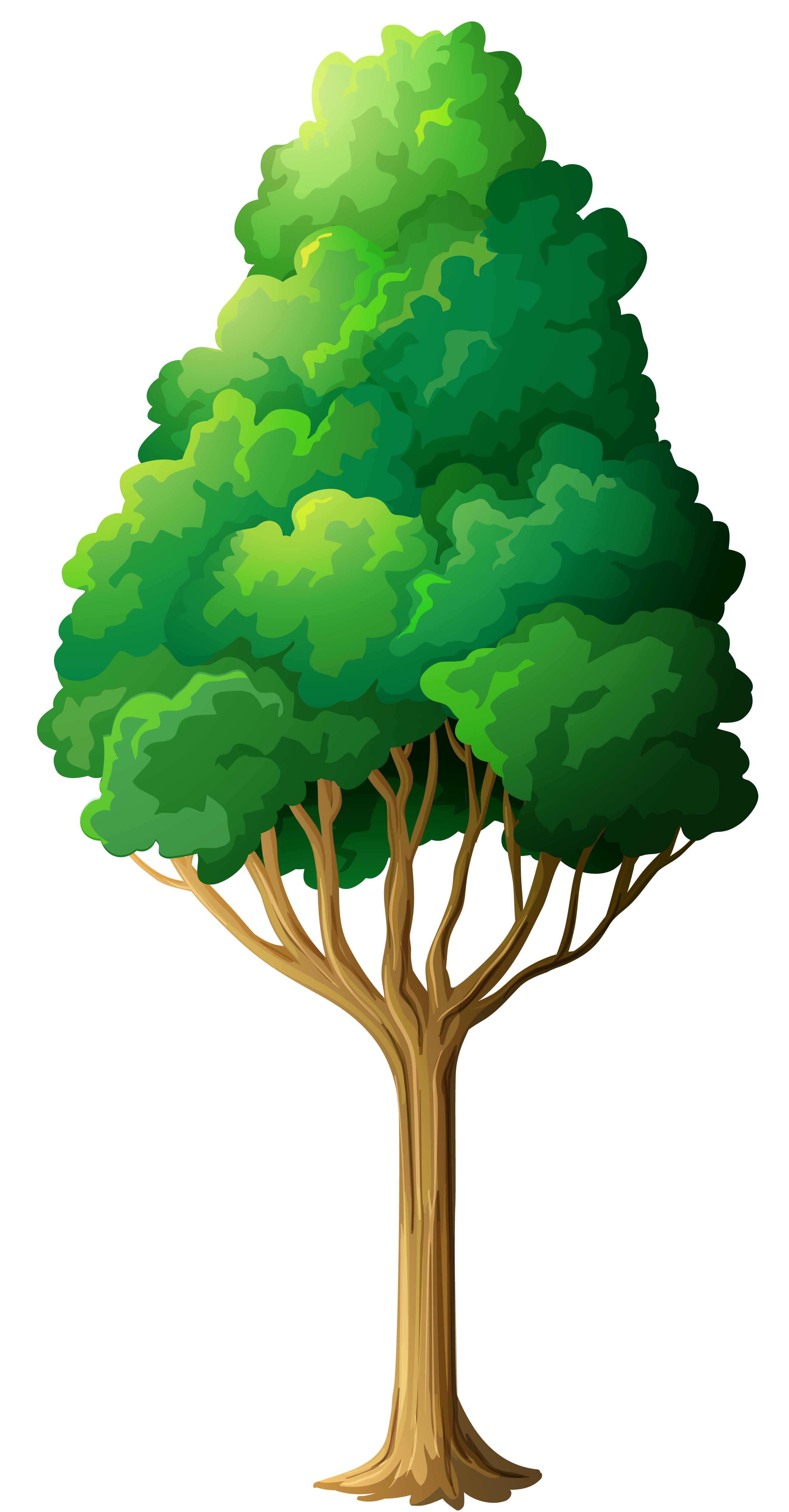 Tree Green Free Transparent Image HD Clipart