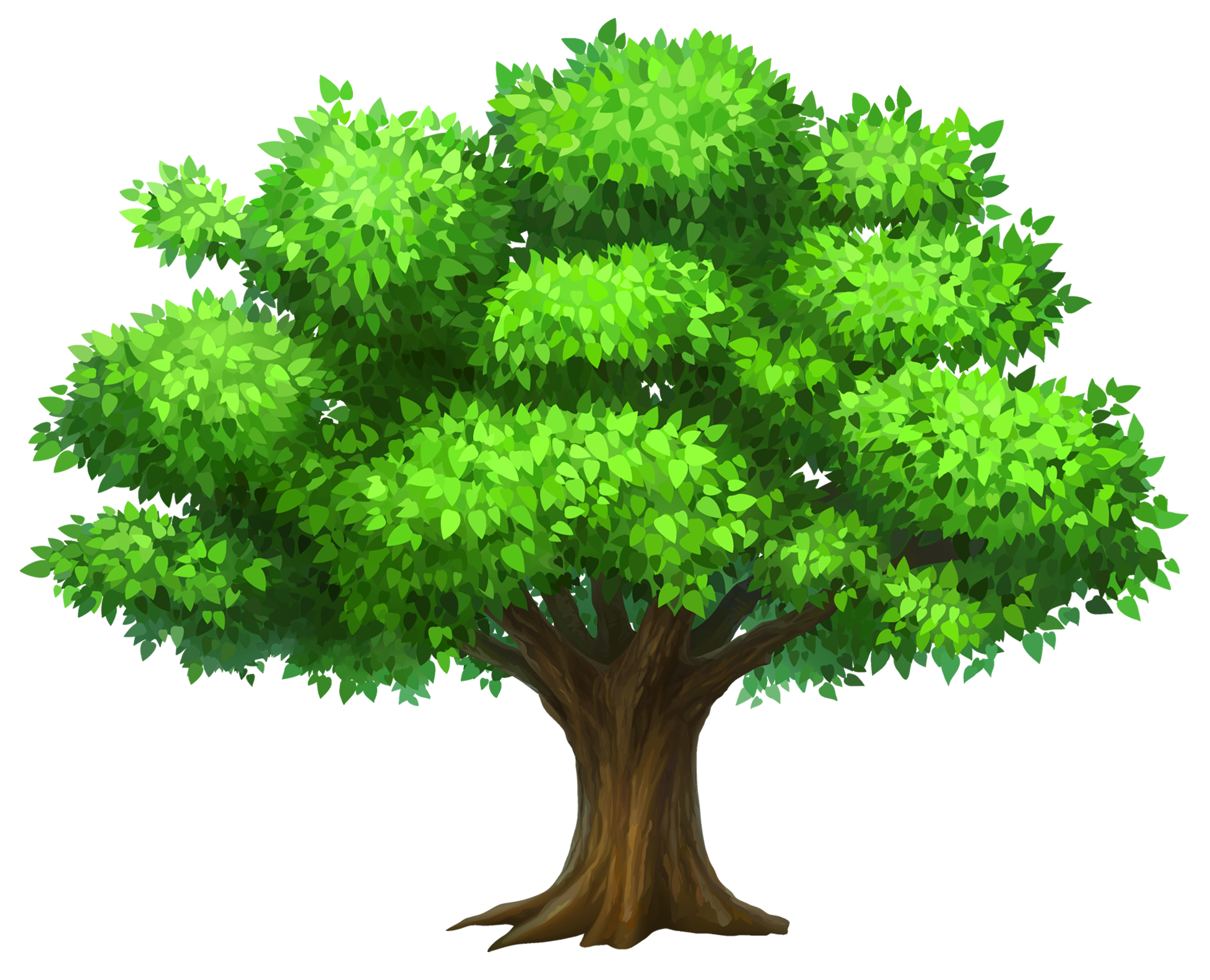 Oak Oack Tree Picture Free Download PNG HD Clipart