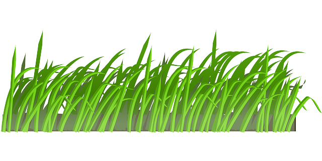 Grass To Use Png Image Clipart