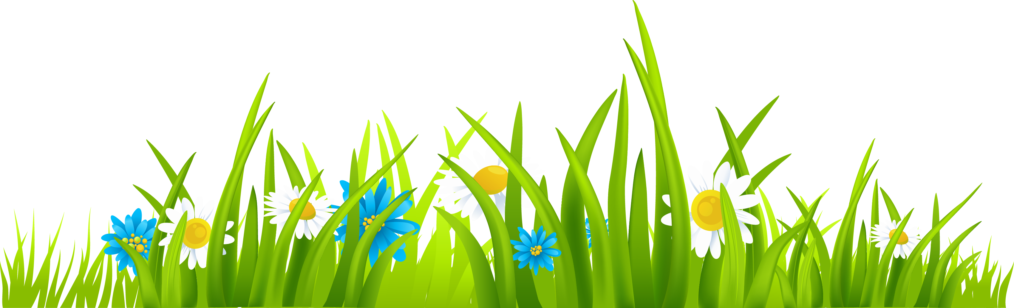 Grass Images Image Png Clipart