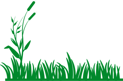 Of Grass Background Clipart