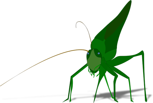 Of Green Grasshopper Clipart