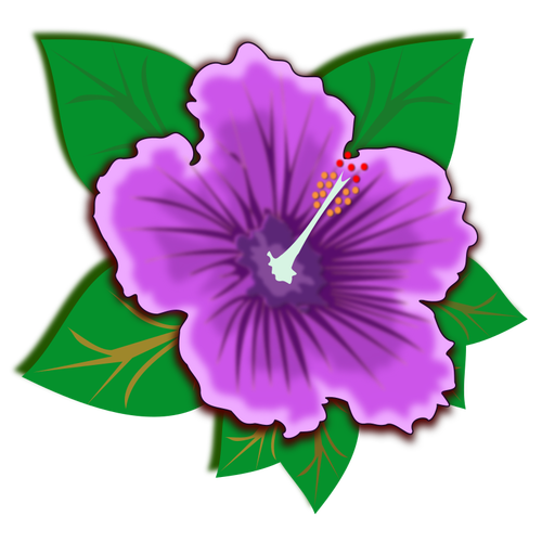 Violet Blossom With Leaves Clipart