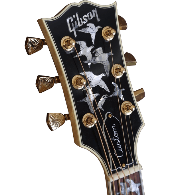 Firebird Instruments Amplifier Guitar Les Paul Gibson Clipart