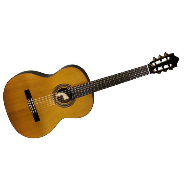 Classical Instruments Guitar Acoustic-Electric Acoustic Musical Clipart