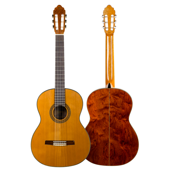 Guitar Acoustic Flamenco Acoustic-Electric Classical Free Download Image Clipart