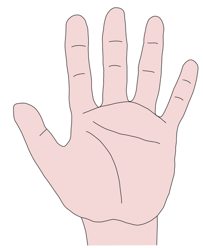 Hand Palm Clipart