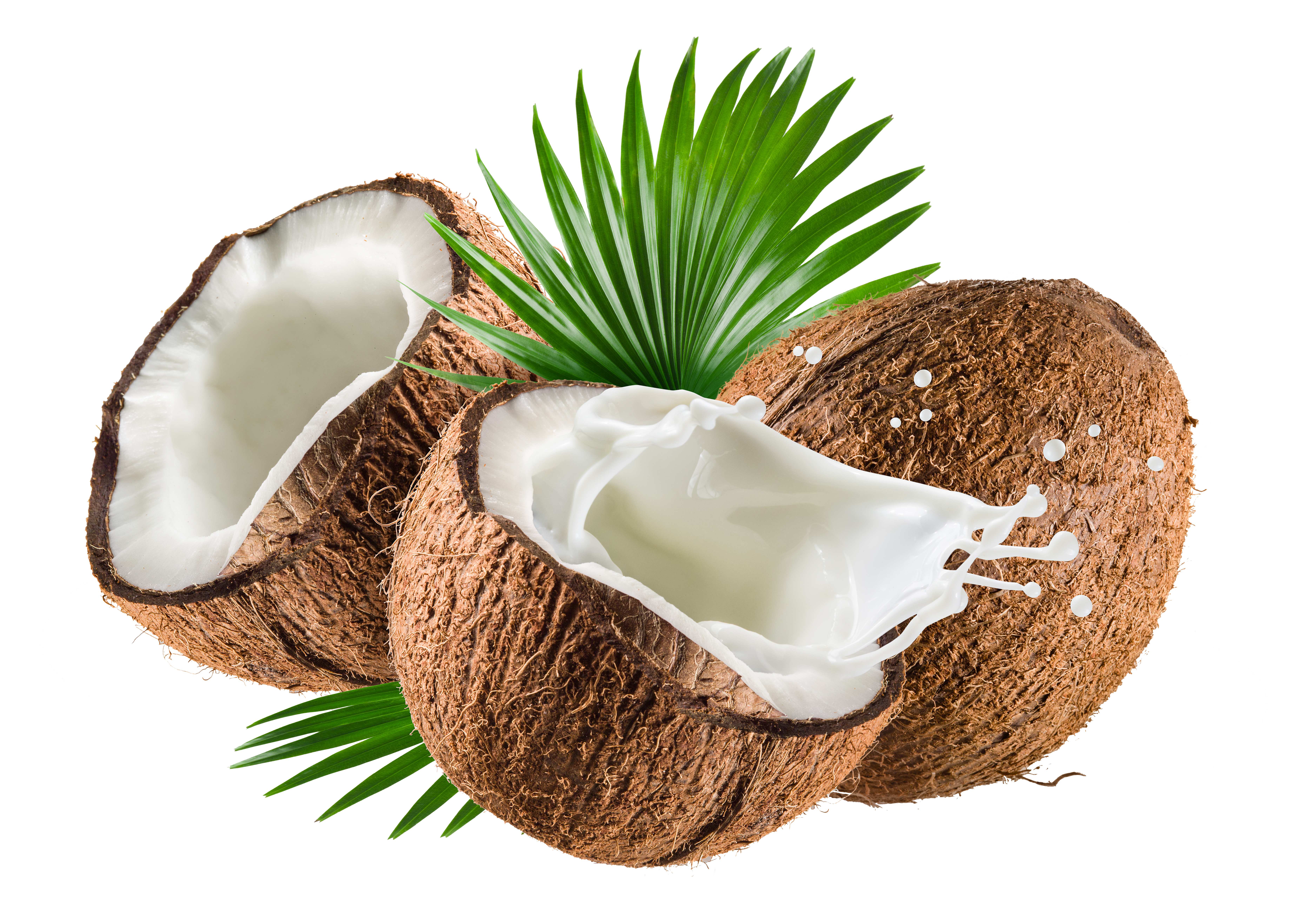 Coconut Oil De Water Coco Nata Milk Clipart