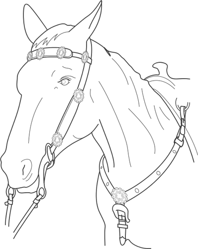 Of Horse Head With Lead Clipart