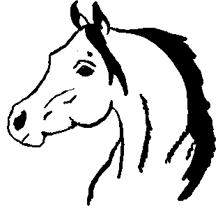 Horse Head Download On Transparent Image Clipart