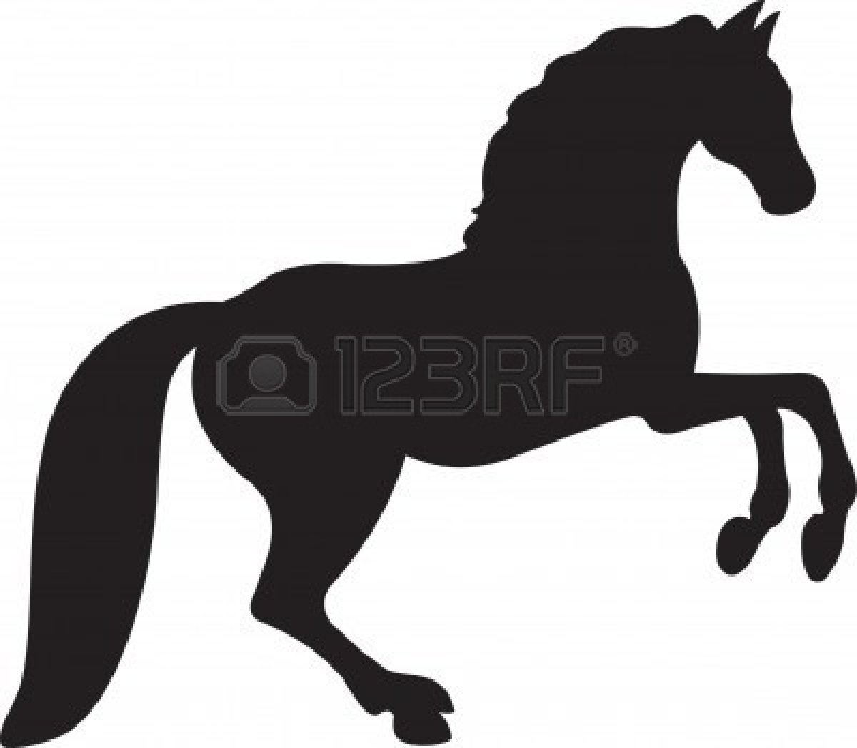 Horse Head Quarter Horse Png Image Clipart