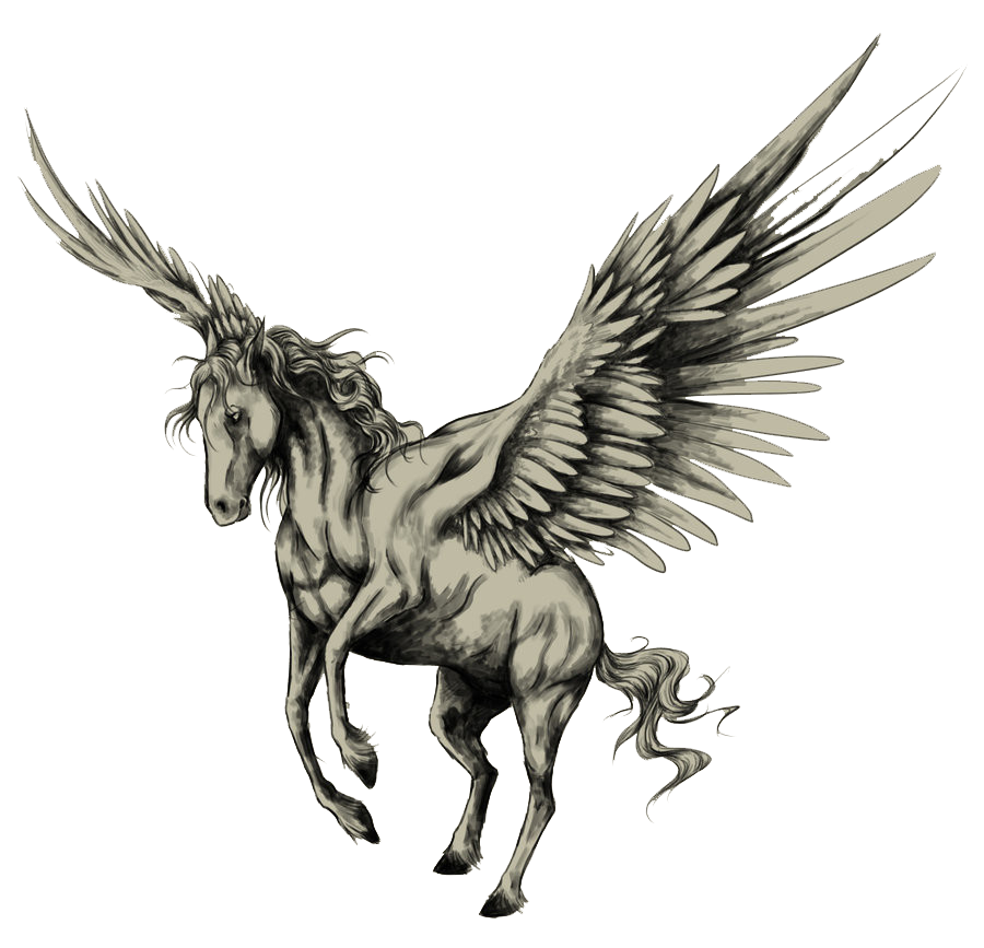 Tattoo Horse Pegasus Drawing Sketch PNG Free Photo Clipart