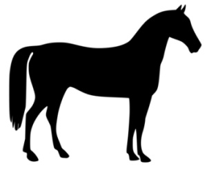 Western Horse Riding Images Download Png Clipart