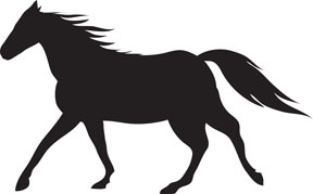 Horse Images Horse Pictures Hd Photo Clipart